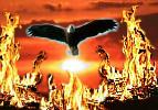 Can  a new America rise from the ashes? - EagleFire image (c) 2003 by NNN