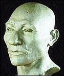 Kennewick Man - clay reconstruction