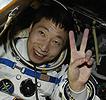 Chinese astronaut