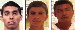 Alex Rios, 18, Nathaniel Carrillo, 16, and Gilbert Tafoya, 15