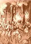 Witch burning